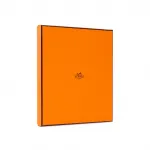 Шелковый  шарф Women's HERMES - фото 3