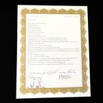 PRS Private Stock Tremonti - Уголь - фото 20