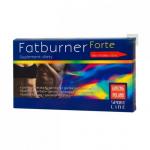 Ginseng Польша Fatburner Forte 10 флаконов по 10 мл - фото