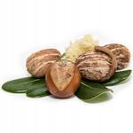 Vitafarm, Масло ши, нерафинированное, 200г - фото 3