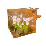 Атмосферные огни The Star God Project - фото 6