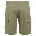 Шорты Regatta Ruwan, зеленый - фото 4