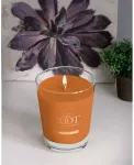 Большая свеча в стеклянной банке с ароматом сидра Root Candles, rust - фото 2