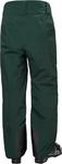 Helly-Hansen мужские брюки Ridge Infinity Shell Helly Hansen, 495 Darkest Spruce - фото 2