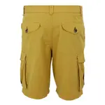 Шорты Regatta Shorebay II, желтый - фото 4