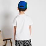 Детская футболка Dickies, черный - фото 5