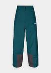 Лыжные брюки Adidas Terrex PANT, Aurora Ivy/Dark Green - фото 6