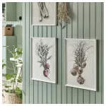 Белая рамка, белая, 40х50 см, KNOPPÄNG IKEA - фото 3