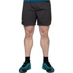 Мужские шорты Dynamo Twin Mountain Equipment, черный - фото 2