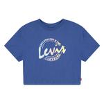 Футболка Levi´s Meet And Greet Script Cropped, синий - фото