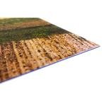 Песнь Льда и Огня - резиновый коврик для боевых игр Inna marka - фото 3