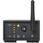 Dillinger Labs StreetHeart SKAA Wireless Pro Audio Receiver - фото