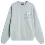 Толстовка Miles oversize Anine Bing, светло-голубой - фото