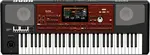 Синтезатор-аранжировщик Korg PA700 Oriental, 61 клавиша, ORT / PA 700 OR, в коробке //ARMENS// - фото