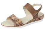Туфли David Tate Civic, Camel Multi - фото 7