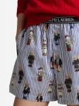 Пижамные штаны Polo Ralph Lauren  Iconic Bear, Mixed Colors - фото 5