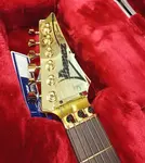 Ibanez JS2GD Джо Сатриани Signature Gold Boy - фото 11