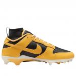 Кроссовки Nike Dunk Low Alpha Menace 'Iowa' - фото