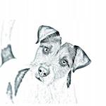 Парсон-рассел-терьер Карманное зеркальце Inna Marka - фото 2