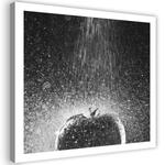 Фрески Feeby Tomaten Grau Gemüse Wasser, черно-белый - фото