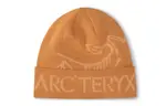 Шапка Arcteryx с логотипом, желтый - фото