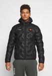 Куртка зимняя Ellesse STANNETTI JACKET, черный - фото