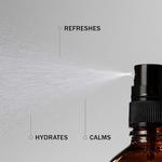 Нежный тоник Ananda, богатый антиоксидантами, 100 мл, Antipodes - фото 2