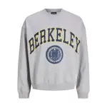 Толстовка Jack & Jones Berkeley Styd, серый - фото