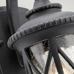 Настенный светильник Licht-Erlebnisse ARONI, черный - фото 3