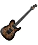 Гитара ESP LTD TE-1000ET Evertune, цвет Charcoal Burst - фото