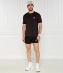 Футболка мужская Ea7 Regular Fit с коротким рукавом, черный - фото 2