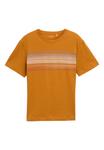 Футболка TOM TAILOR Print T-shirt, Braun/Brown - фото 5