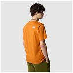 Футболка The North Face S/S Easy Tee, цвет TNF Medium Grey Heather - фото 4