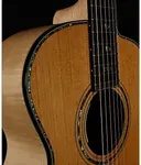 Cort Gold Passion L.R. Baggs Anthem - фото 8