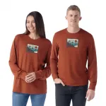 Футболка Smartwool Gondola Ride Graphic long sleeve, коричневый - фото