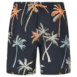 Купальные шорты Protest Hear, серый - фото