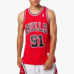 Баскетбольное джерси Mitchell & Ness NBA SW 97-98 91 - фото 3
