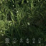 Спрей для лица hyaluron biotic mist Madara, объем 100 мл - фото 2