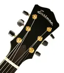 Eastman AR805CE-SB - фото 7