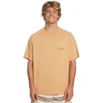 Футболка Quiksilver Qs Bloom Ss short sleeve v neck, бежевый - фото