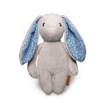 Висбер, талисман, колибри, Соня Фелек Whisbear - фото