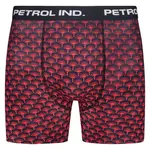 Боксеры 2 шт Petrol Industries M-1050-BXR204 boxers 2 units, синий - фото 5