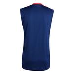 Футболка ss24 sport performance asia sizing Adidas, синий - фото 2