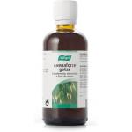 Авенафорс 100мл, A.Vogel - фото 3