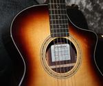 Акустическая гитара 2023 Breedlove - Premier Concert CE - Burnt Amber - фото 2