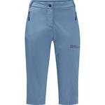 Брюки Jack Wolfskin, синий - фото