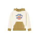 Детский свитшот Dickies, белый/хаки - фото
