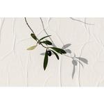 Питательный кондиционер с оливковым маслом, Korres - фото 3