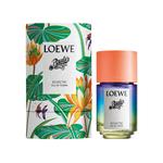 Духи Paula’s ibiza eclectic Loewe, 50 мл - фото 2