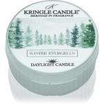 Свеча Winter Evergreen - 42 г Kringle Candle - фото
